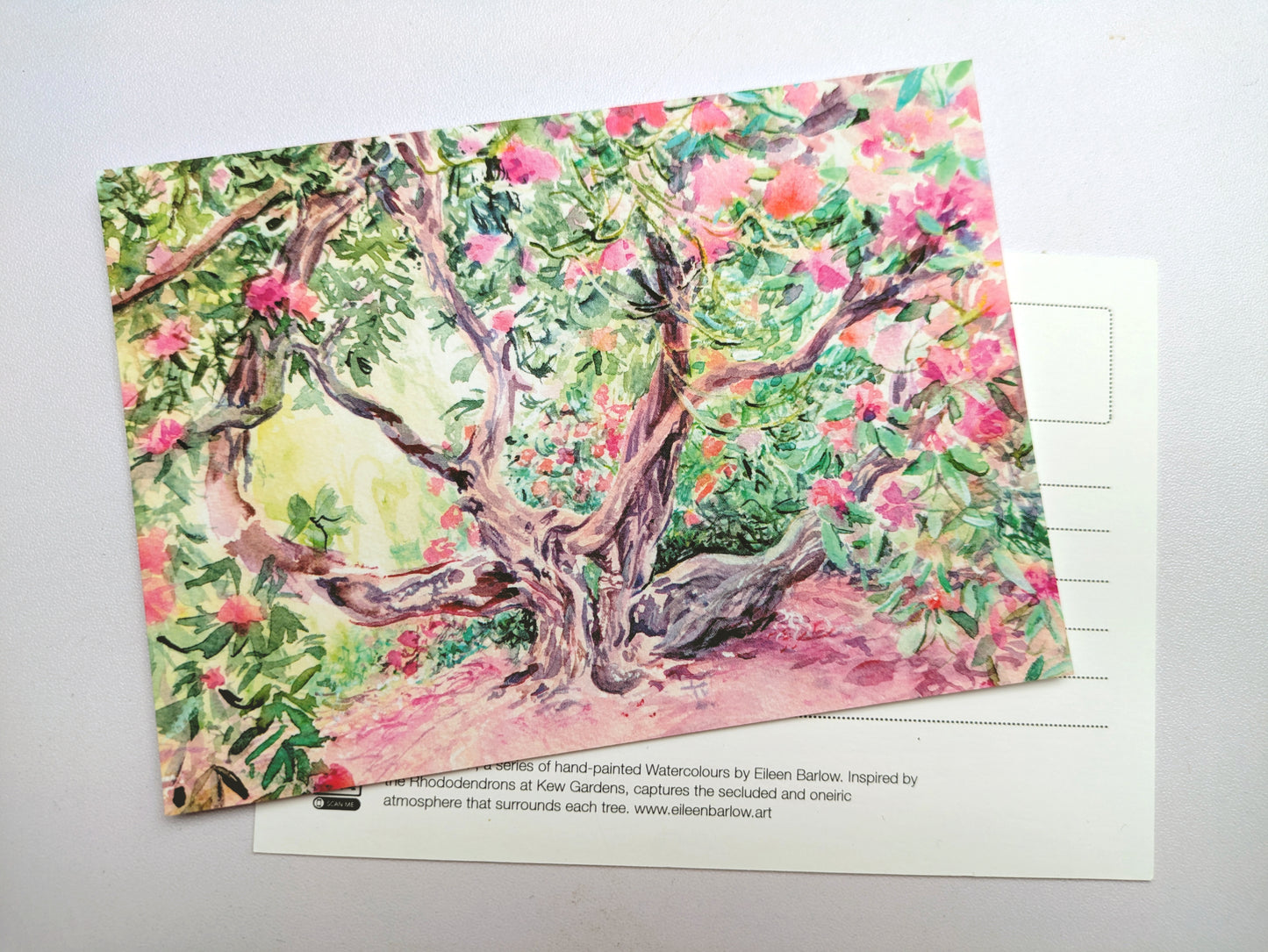 Rhododendron Dell, Kew Gardens (A6)