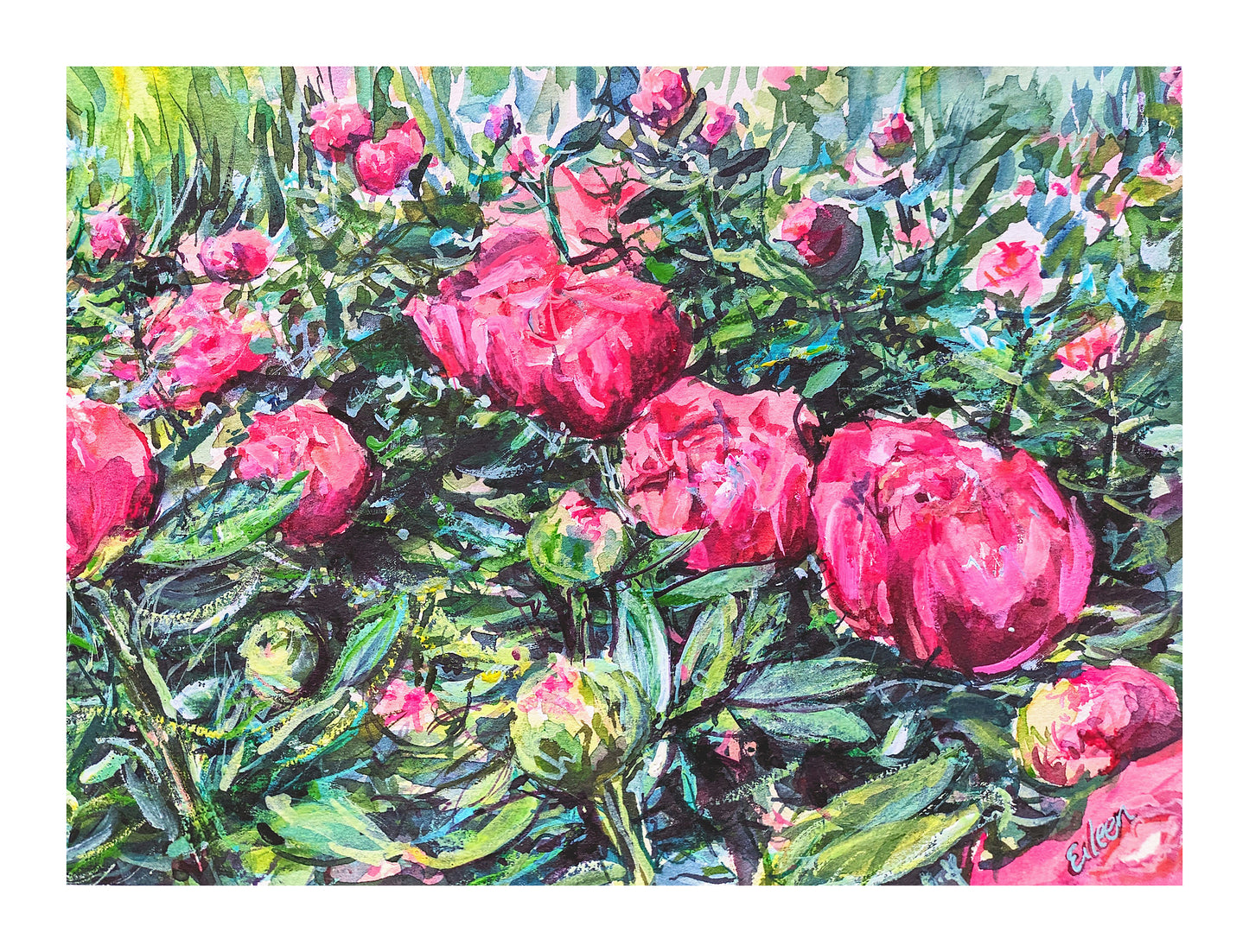 Marissa's Peonies