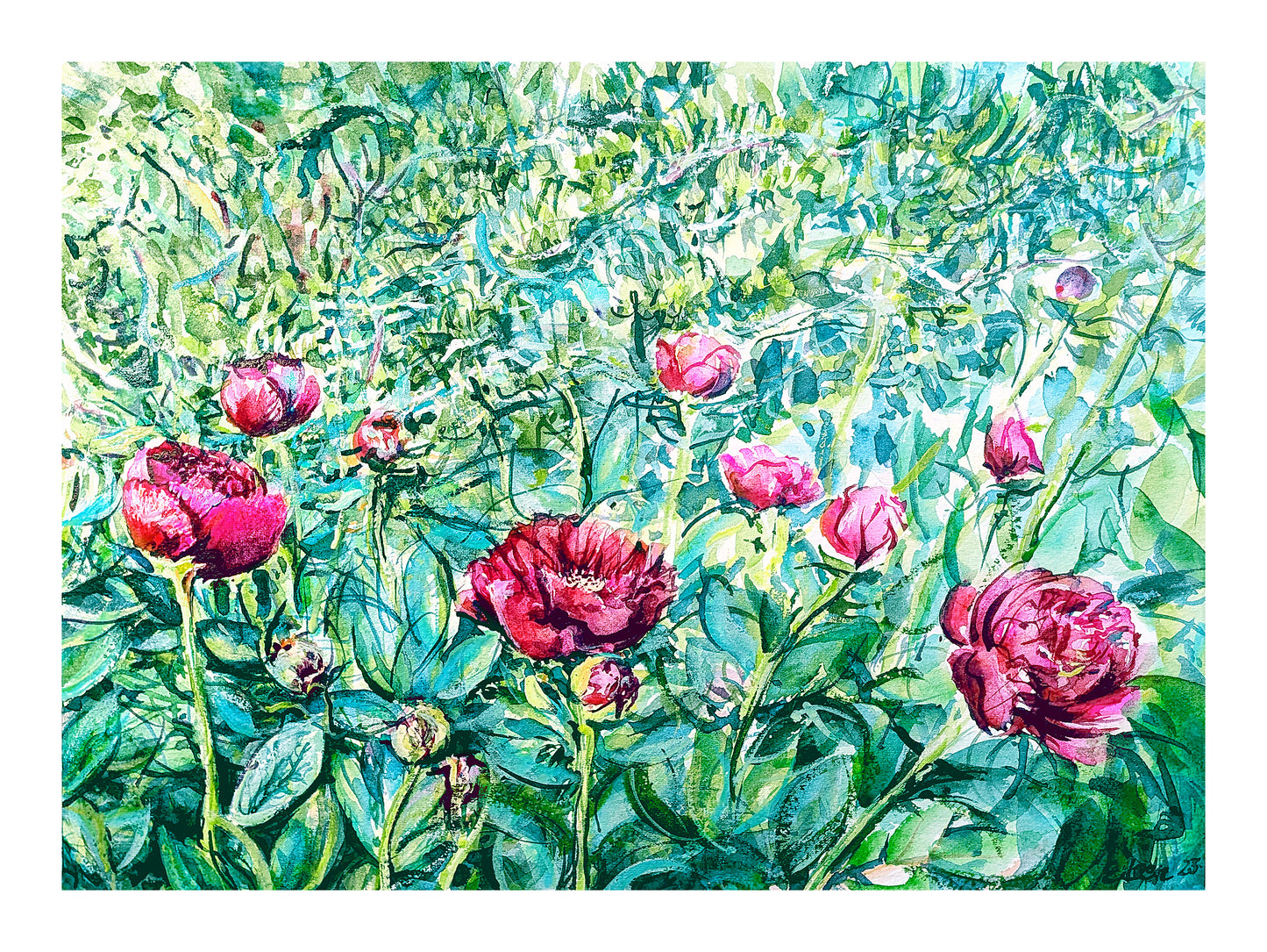 Peonies in the Garden, I