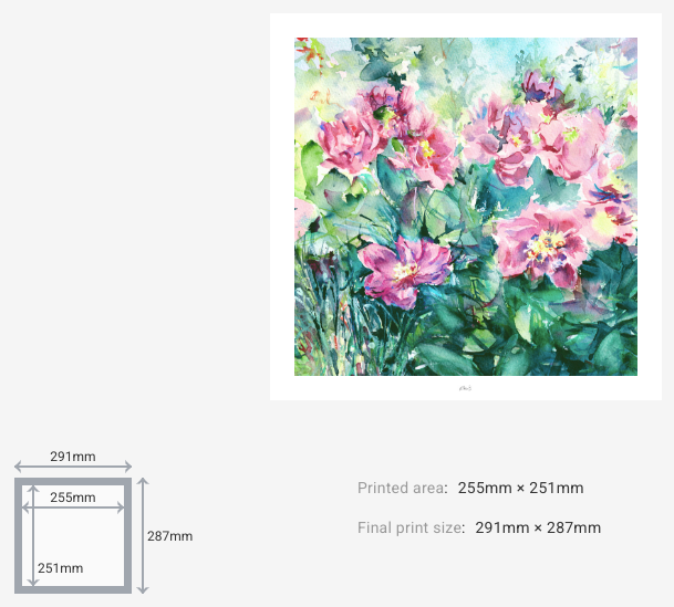 Peonies II