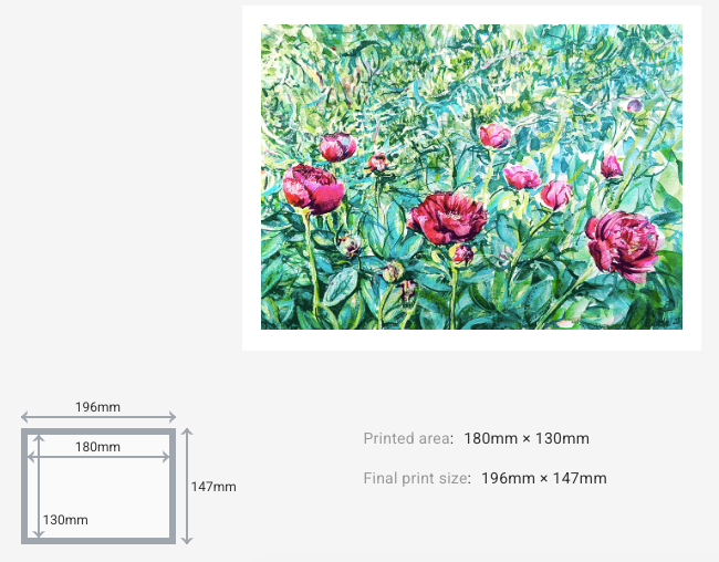 Peonies in the Garden, I