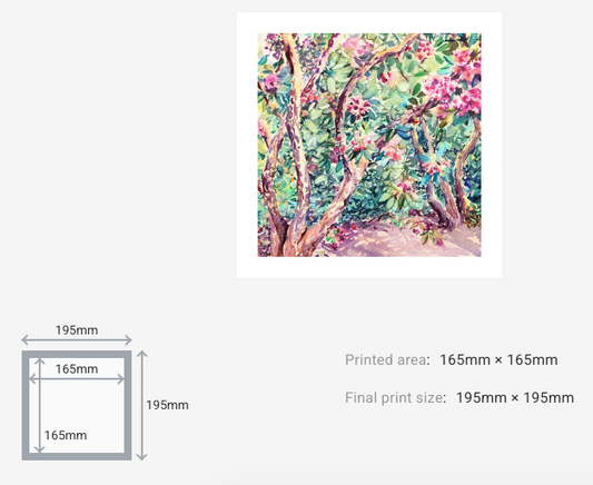 Isabella Plantation Nº3