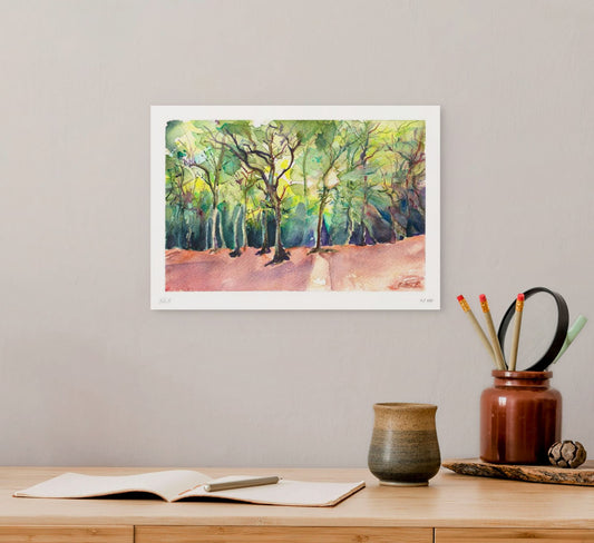 Walk in the Woods in East Sheen Common