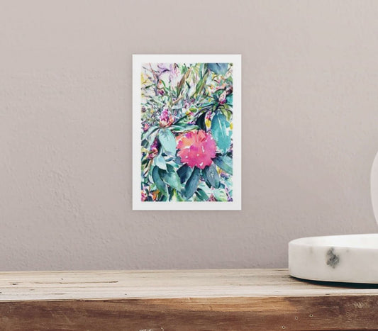 Isabella Plantation Nº 5