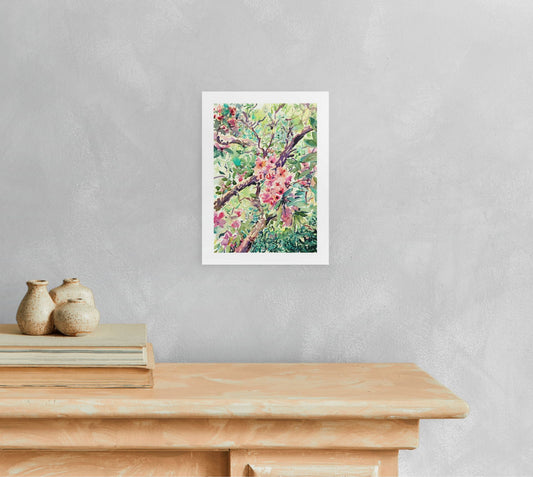 Isabella Plantation Nº1