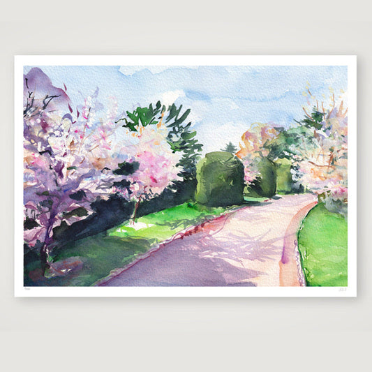 Cherry walk behind the Palm House