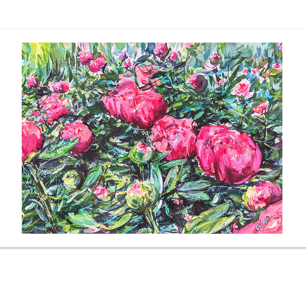 Marissa's Peonies