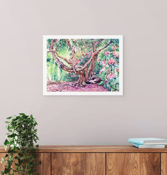 Off the path, Rhododendron Nº3