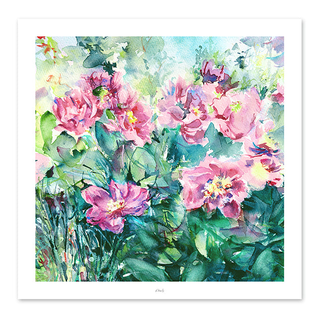 Peonies in the garden II Square