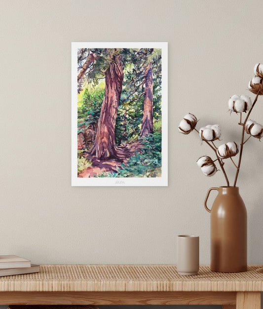 Redwood Grove Kew II