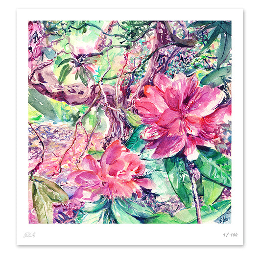 Rhododendron Nº4, Kew Gardens