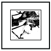 Framed Art Prints