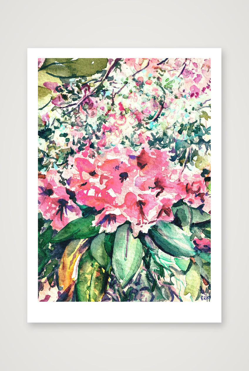 Isabella Plantation Nº2, — 14×20cm, 6×8" Print only