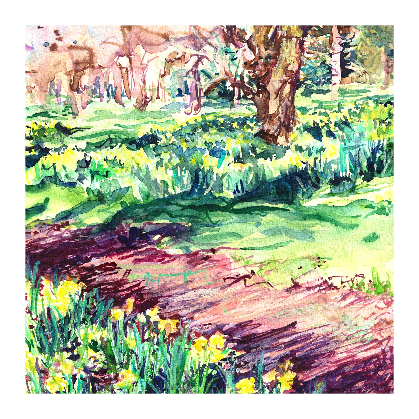 Daffodils in Kew Nº 1