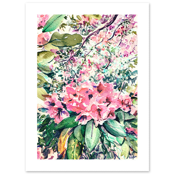 Isabella Plantation Nº 2