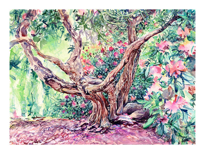Off the path, Rhododendron Nº3