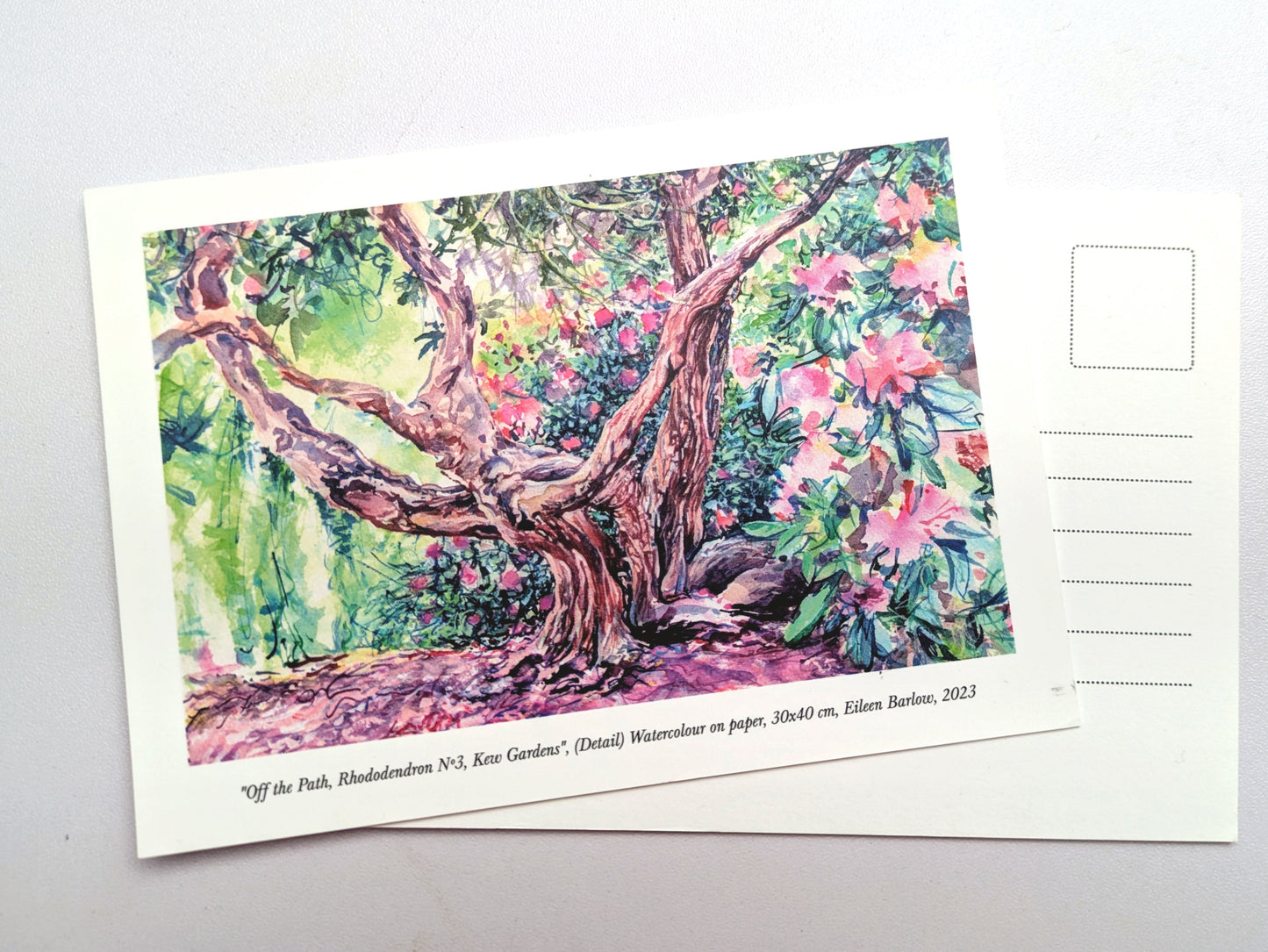 Rhododendron Dell - Kew Gardens (A6 Postcards)