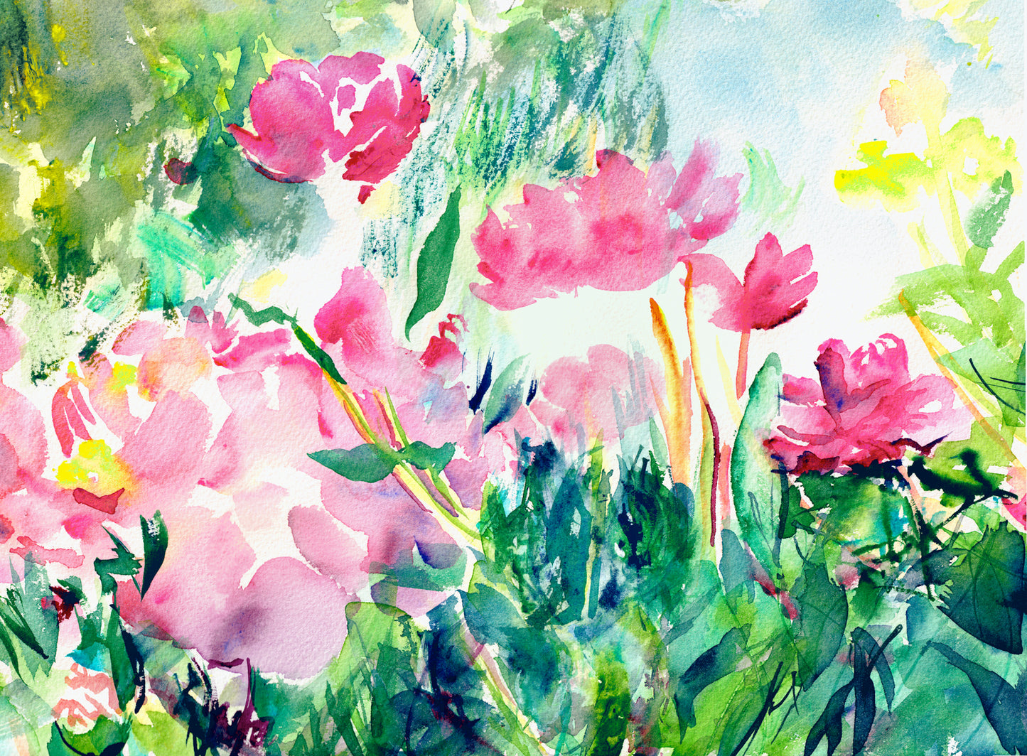 Peonies Flower bed VI