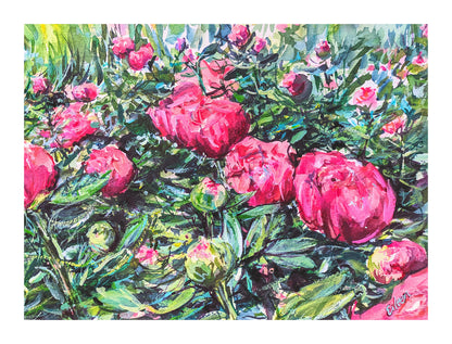 Marissa's Peonies