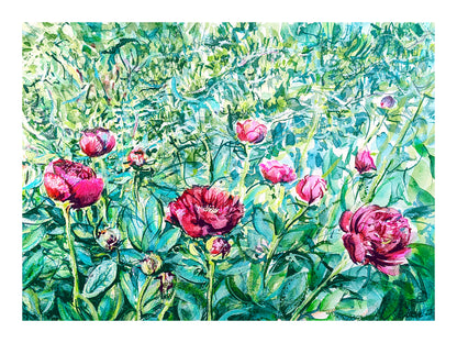 Peonies in the Garden, I
