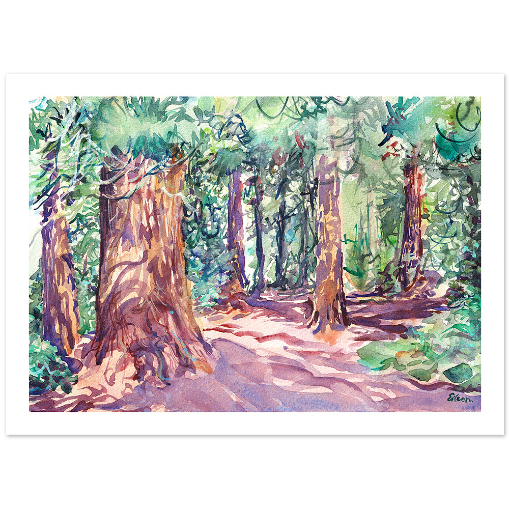 Redwood Grove, Kew Gardens Nª3