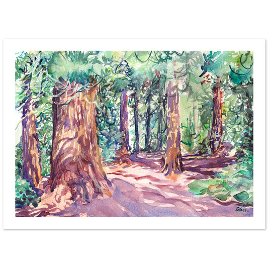 Redwood Grove, Kew Gardens Nª3