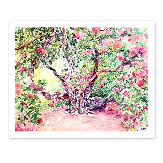 Rhododendron N5, Kew Gardens