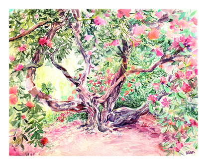 Rhododendron N5, Kew Gardens