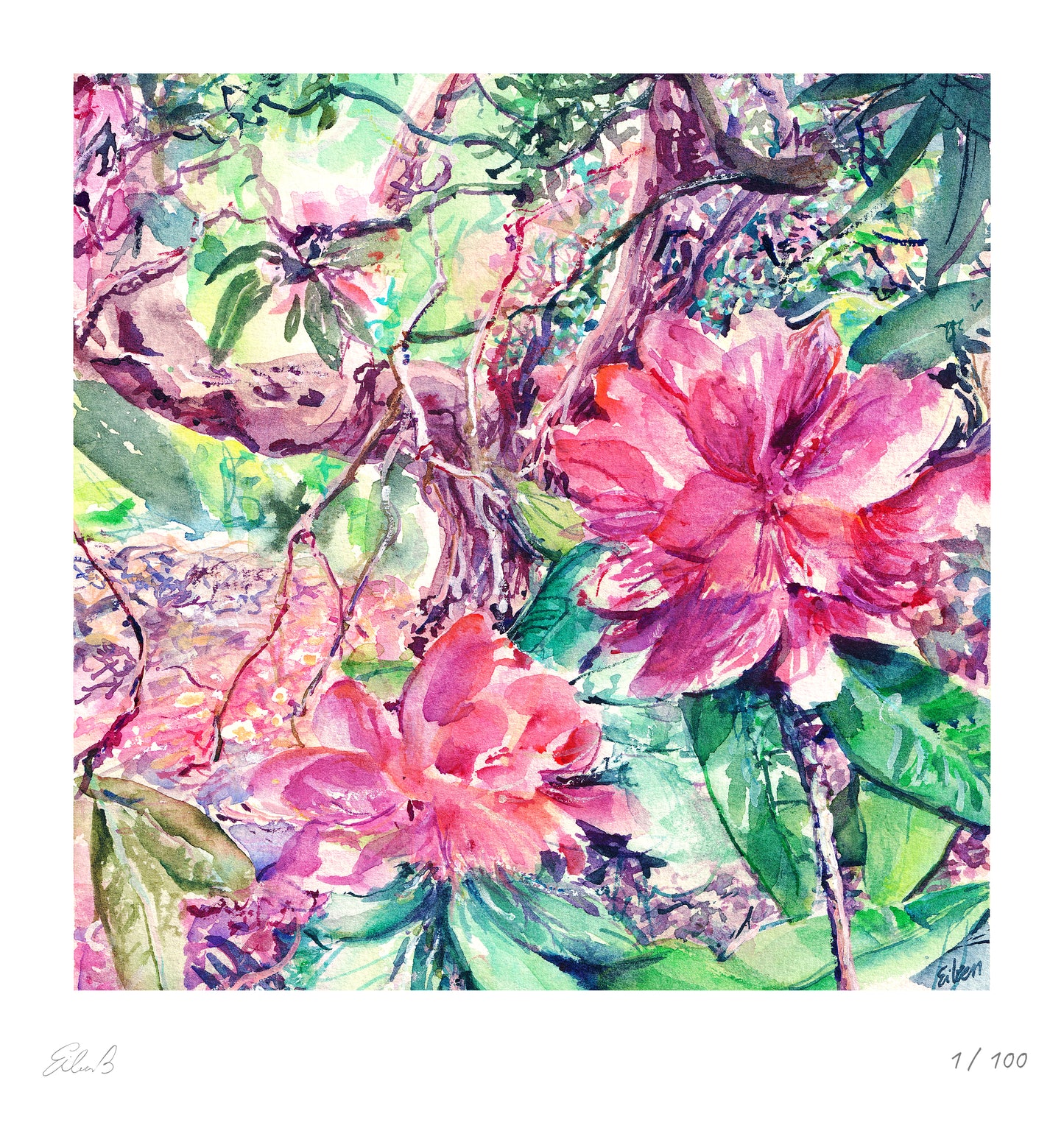 Rhododendron Nº4