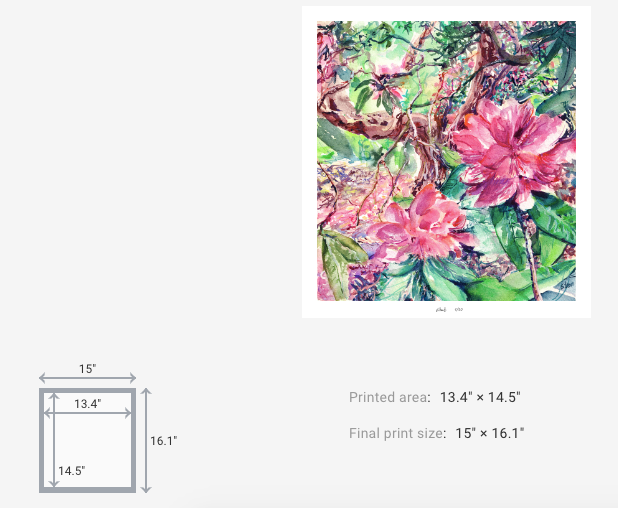 Rhododendron Nº5, Off the Path (Limited Edition)