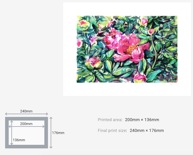 Peonies Bed IV
