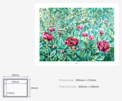 Peonies in the Garden I