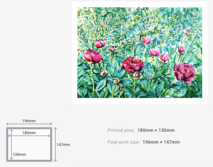 Peonies in the Garden, I