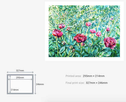 Peonies in the Garden, I