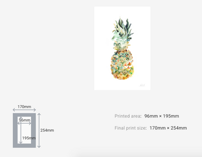 Pineapple in White