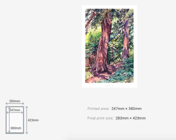 Redwood Grove Kew II