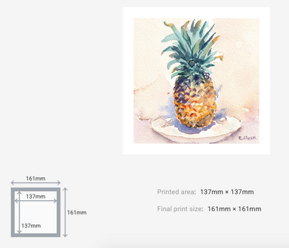 Isolated Pinapple