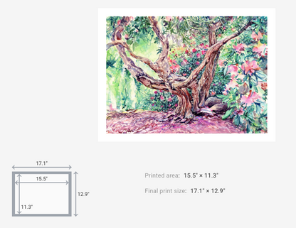 Off the path, Rhododendron Nº3