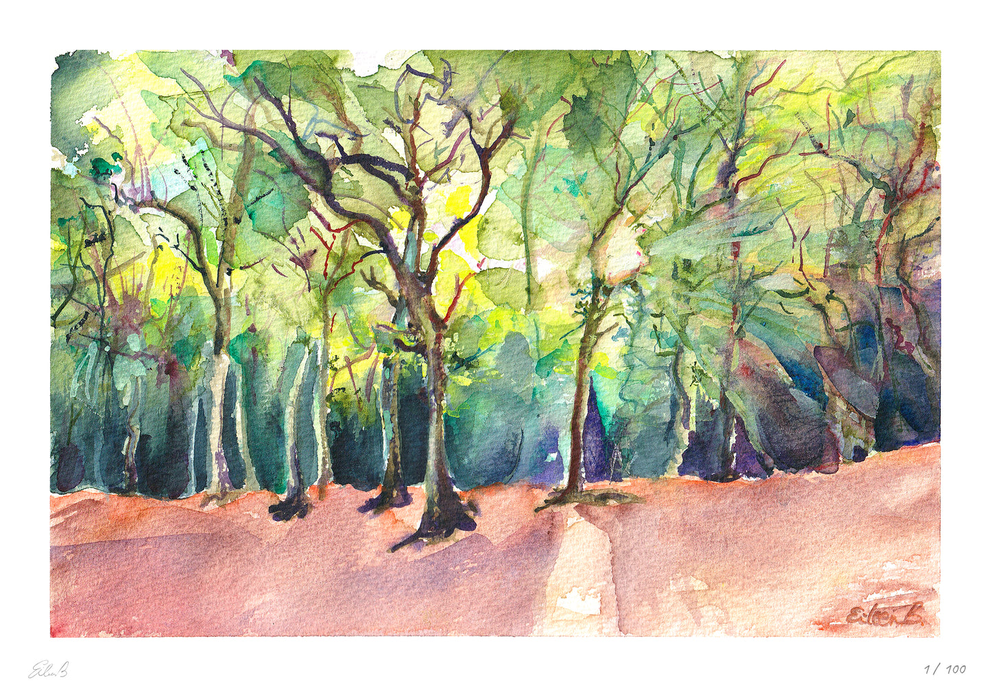 Walk in the Woods in East Sheen Common