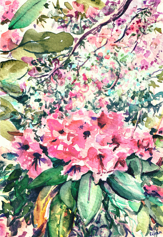 Isabella Plantation Nº2