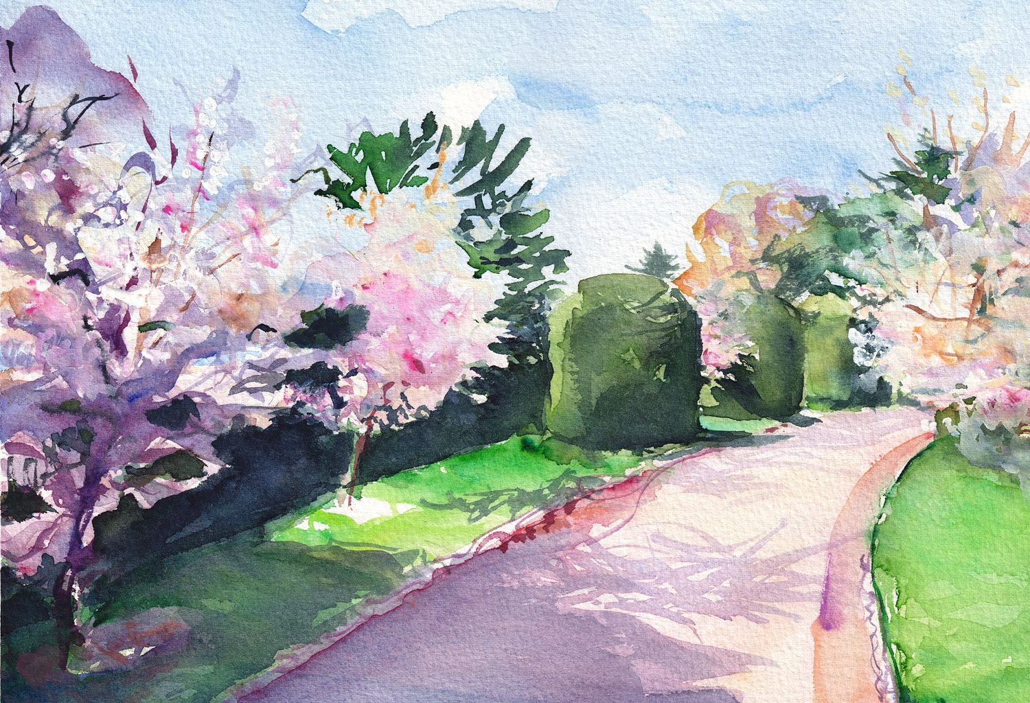 Behind the Palmhouse in Kew