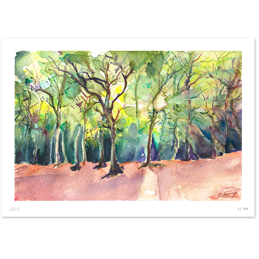 Walk in the Woods in East Sheen Common