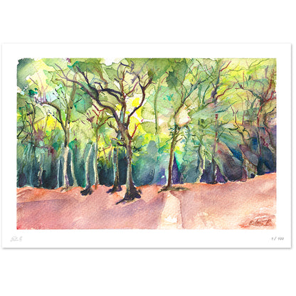 Walk in the Woods in East Sheen Common