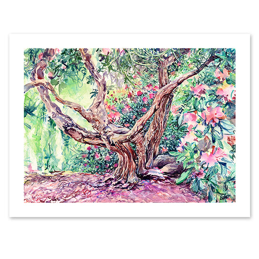 Off the path, Rhododendron Nº3