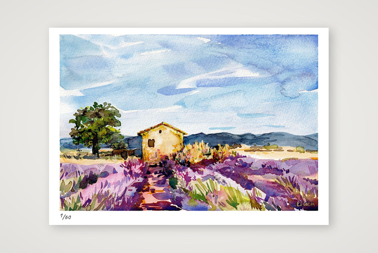 Lavender Field 1, Provence - Watercolour — A4 (30×21cm, 12×8") Print only