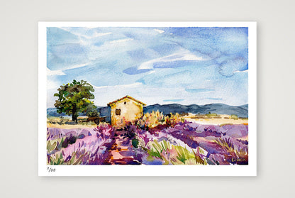 Lavender Field 1, Provence - Watercolour — A4 (30×21cm, 12×8") Print only