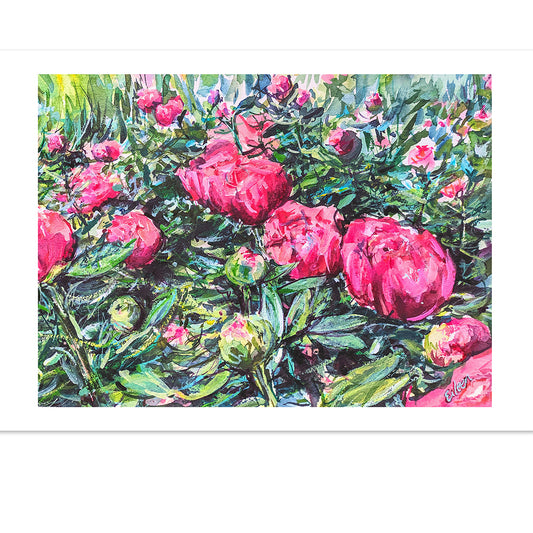 Marissa's Peonies