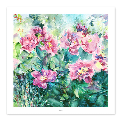 Peonies in the garden II Square