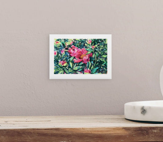 Peonies Bed IV