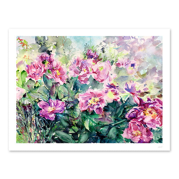 Peonies in the Garden II